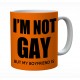 I'm Not Gay But My Boyfriend Is Mug