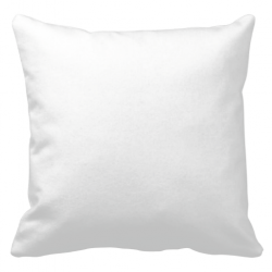 Plush Pillow 24