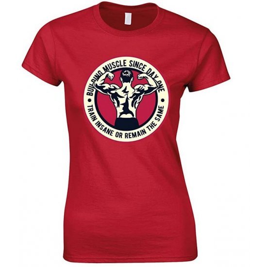  Building Muscle Since Day One Train Insane Or Remain The Same-Ladies T Shirt 