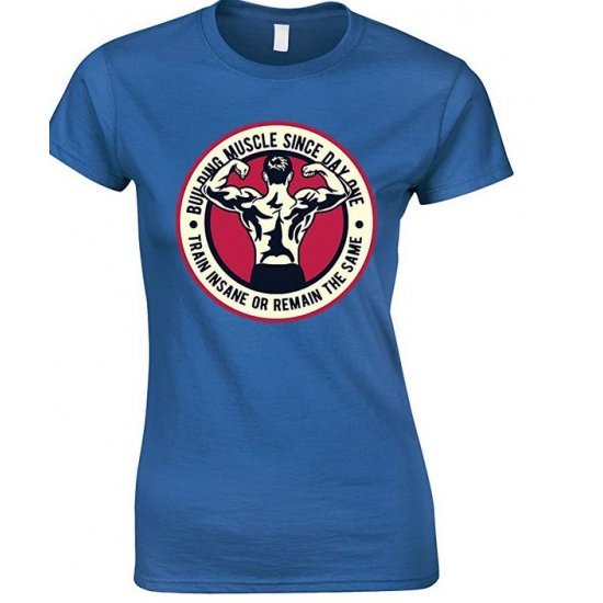  Building Muscle Since Day One Train Insane Or Remain The Same-Ladies T Shirt 